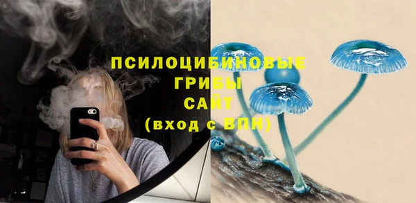 а пвп мука Белокуриха