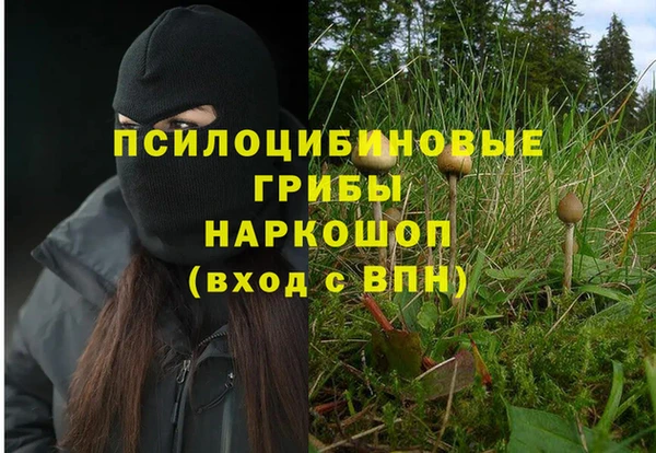 марки nbome Беломорск